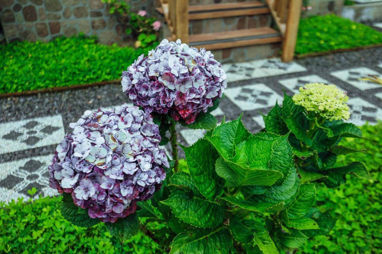 The Polumb Garden Bedugul Hotel Selemadeg Екстериор снимка